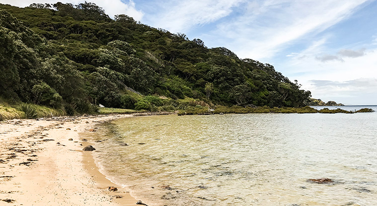 Tryphena Path - Walk to the far end of the beach.