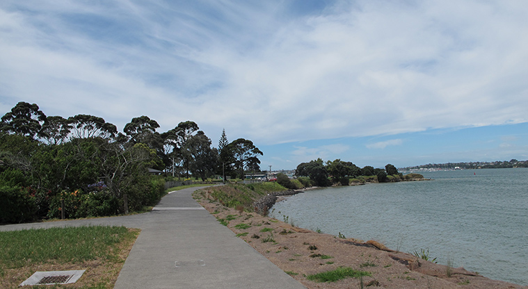 Tāmaki Path - Great views of the Tāmaki Path.
