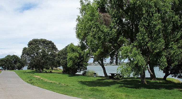 Tāmaki Path - Estuary side picnic spots in Pt England Reserve.