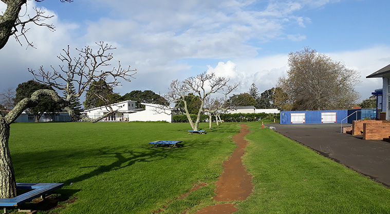 Tāmaki School Path
