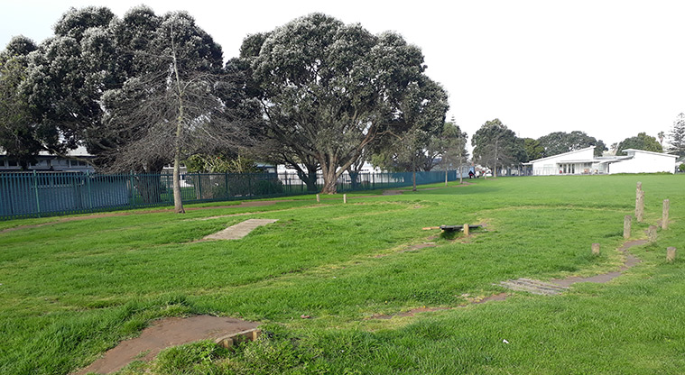 Tāmaki School Path - Pump track.