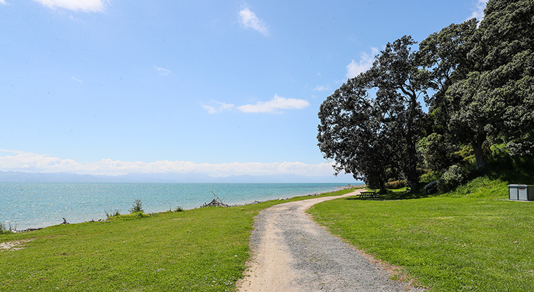 Tāpapakanga Coastal Path - Path start follow metal road.