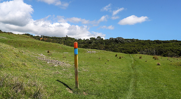 Tāpapakanga Historic Path - Path runs through pasture. Follow the blue markers.