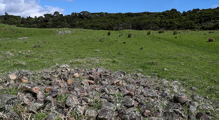Tāpapakanga Historic Path - Stone heaps indicate extensive riverside gardens.