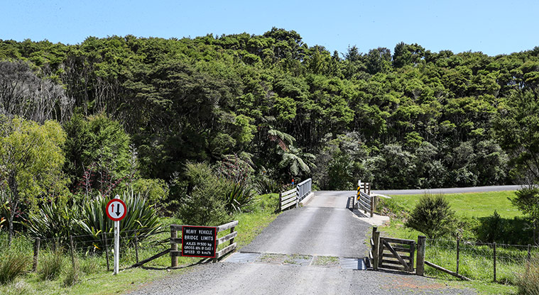 Tāpapakanga Historic Path - Path through to stream.