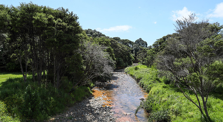 Tāpapakanga Historic Path - Tāpapakanga Stream.