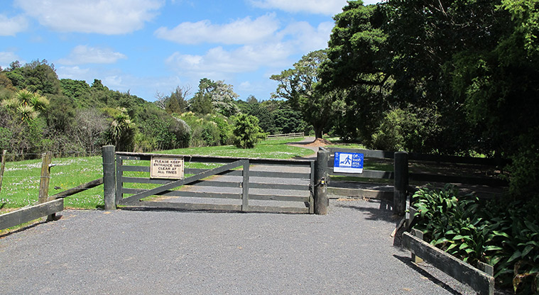 Totara Puhinui Creek Path - Path start from car park.