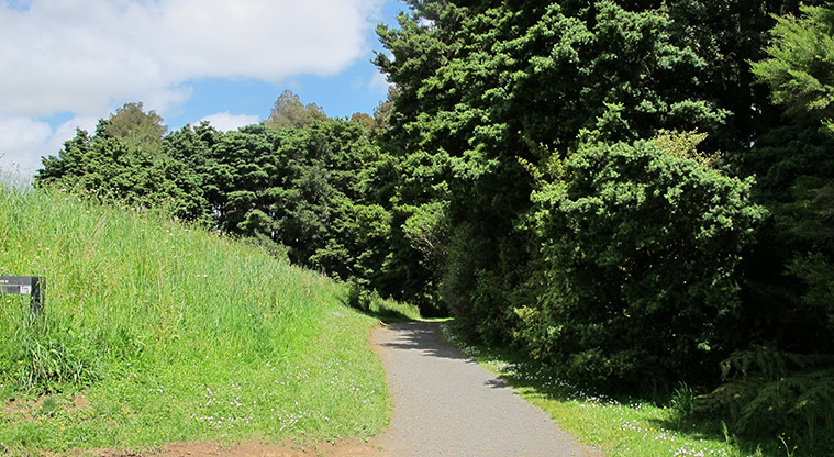Totara Puhinui Creek Path - Typical section of the path.