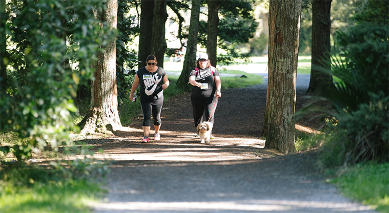 Totara Puhinui Creek Path - Area is great for dogs.