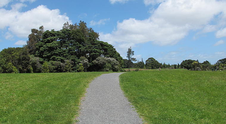 Totara Puhinui Creek Path - Path adjacent to bottom of Botanic Gardens.