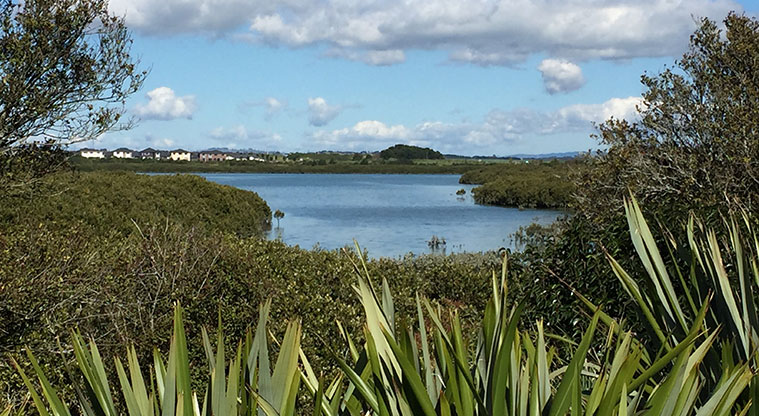 Waimahia Path