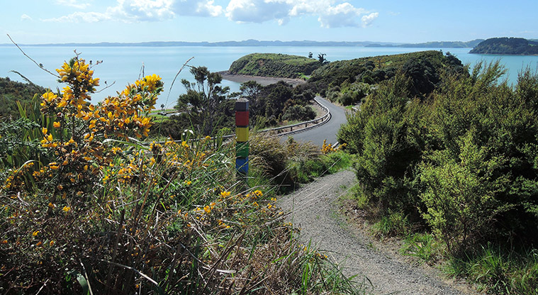 Waitawa Kererū Path - Views back over bay to Koherurahi Point