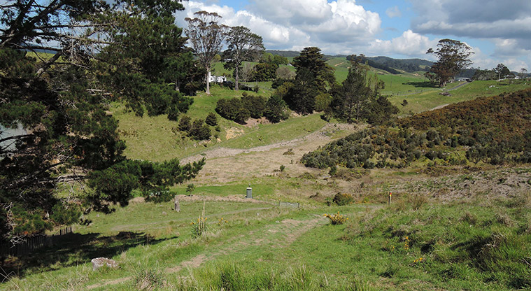 Waitawa Kererū Path - Inland section of the path