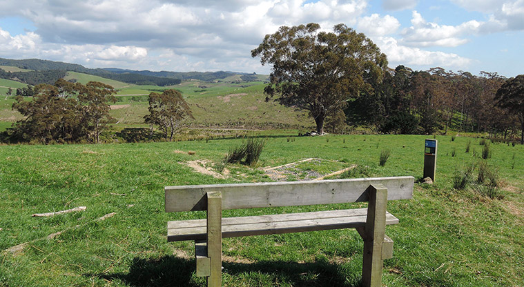 Waitawa Kererū Path - Take a break with seating