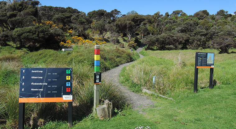 Waitawa Kotare Path - Path start, follow the yellow markers.
