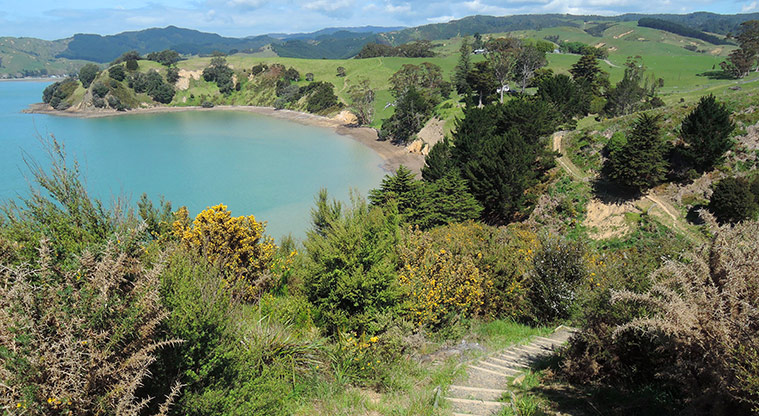 Waitawa Kotare Path - Steps down to Waitawa Bay.