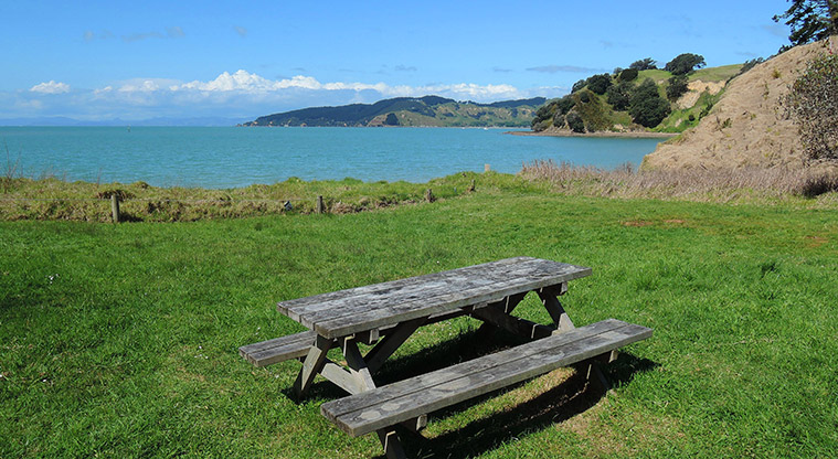 Waitawa Kotare Path - Picnic spot at Waitawa Bay.