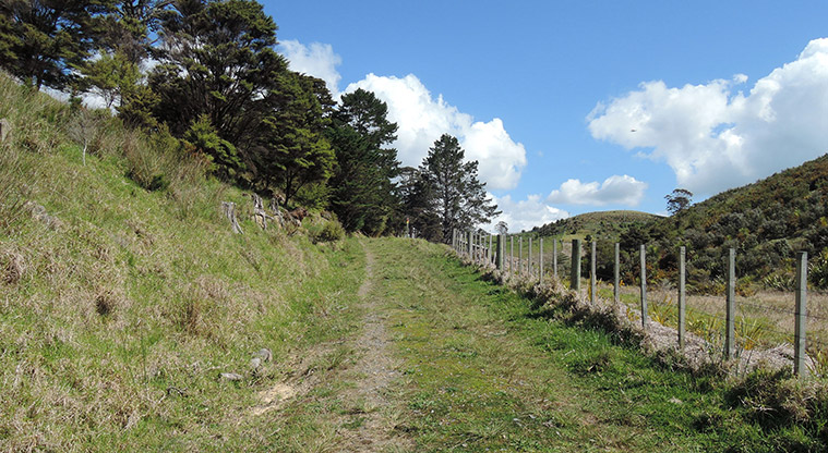 Waitawa Kotare Path - Farm track section of the path.