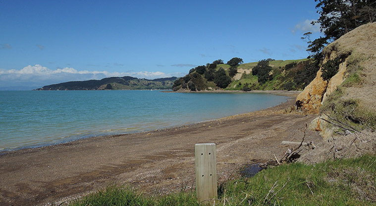 Waitawa Kōtare Loop