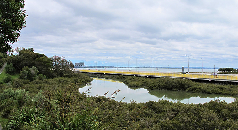 Waterview Heritage Path