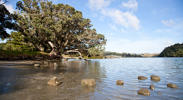 Wenderholm Te Akeake Track