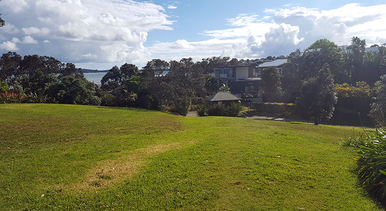 Weona-Westmere Path - Finish or start the path at Westmere Park.