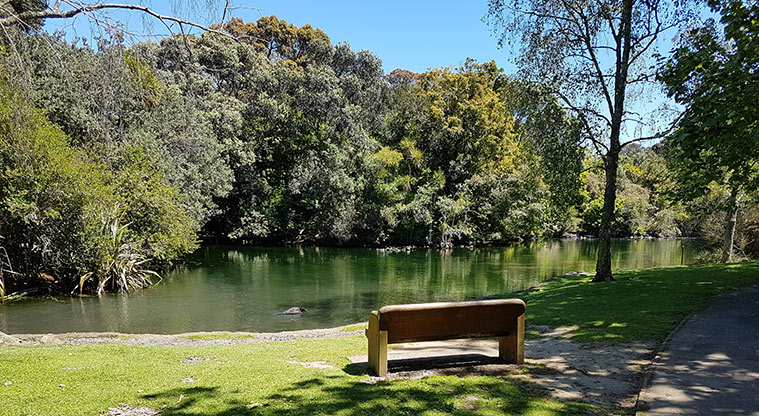 Western Springs Path