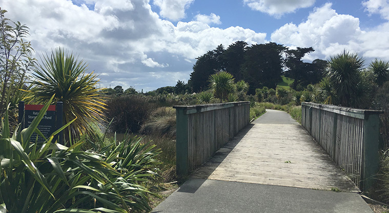 Whangaparāoa Path - Look out for ducks in the Rata Road pond.