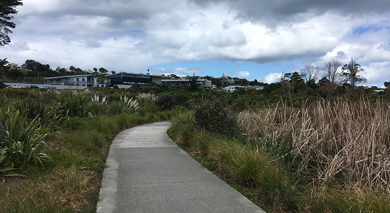 Whangaparāoa Path - Wide, flat path through the Rata Reserve.