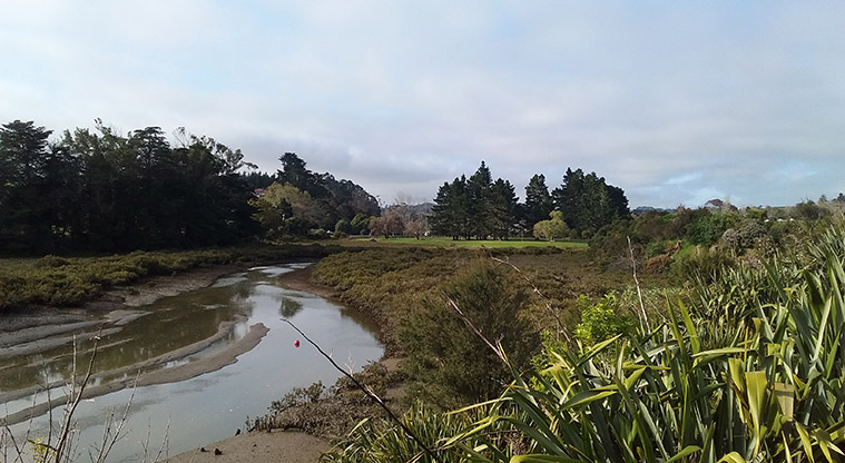Whitford Path