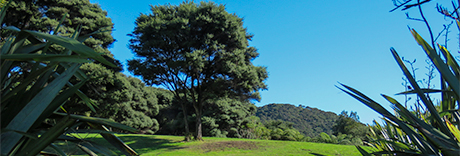 Wakaaranga Creek Reserve